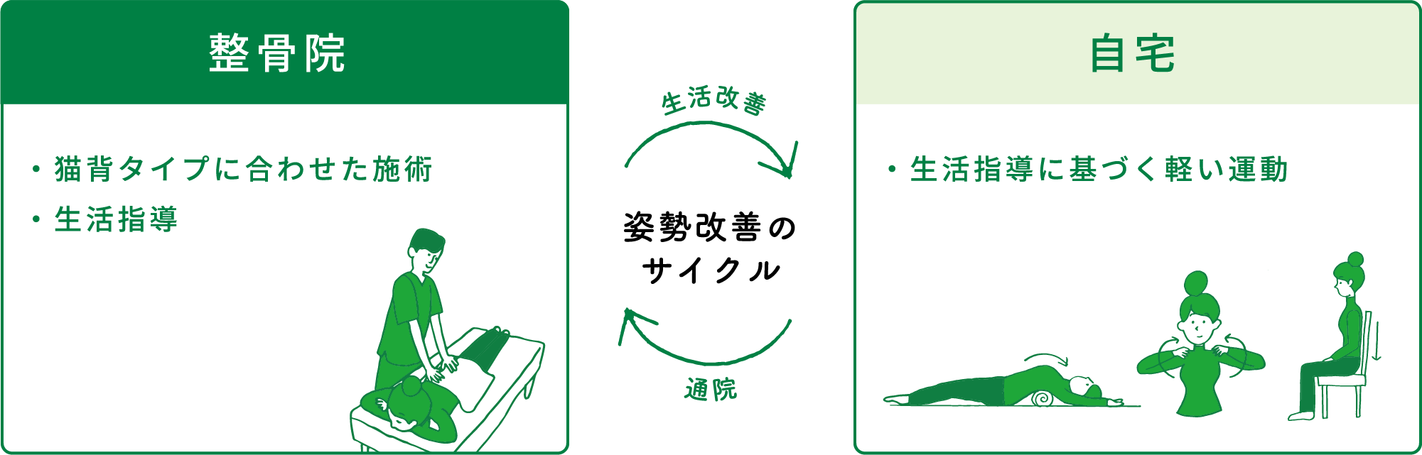 姿勢改善のサイクル